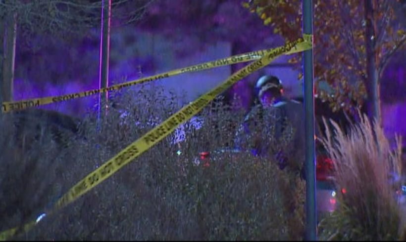 3 killed in shooting at Colorado Walmart, police say 3 killed in shooting at Colorado Walmart, police say