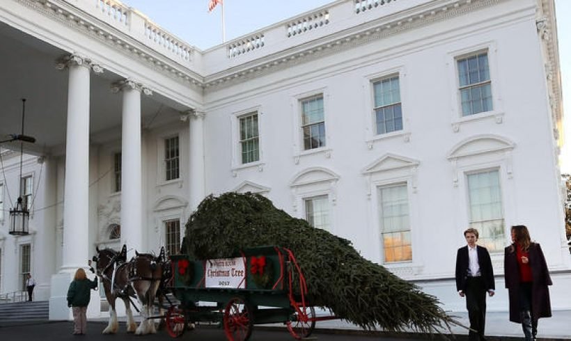 First lady Melania Trump receives White House Christmas tree