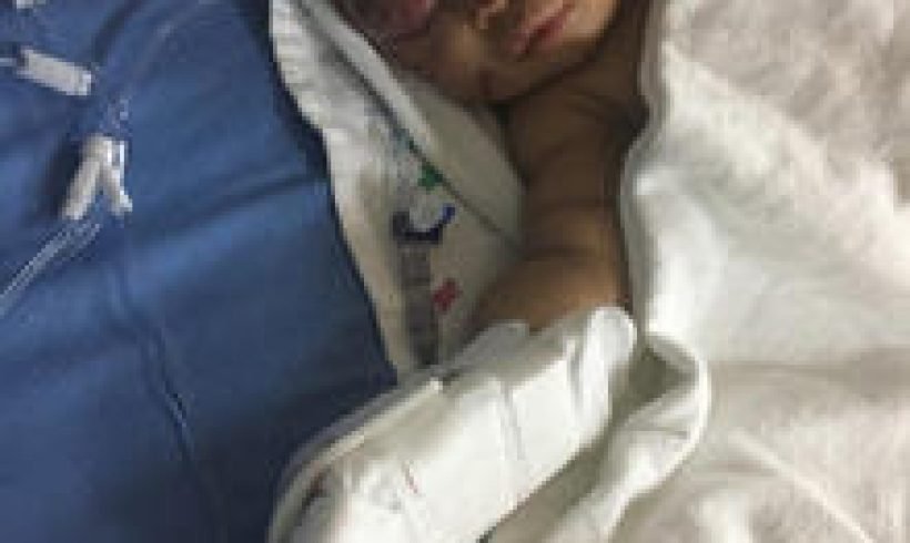 Raccoon attacks baby, drags her out of bed in Philadelphia