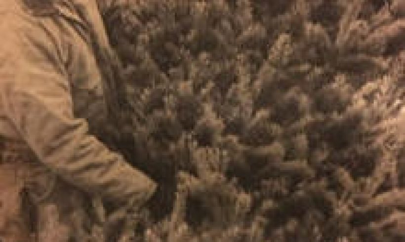 The healing, and persistent, power of kindness The healing, and persistent, power of kindness