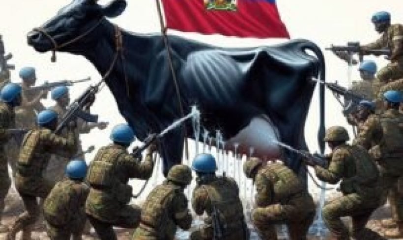 Haïti : La vache que tout le monde veut traire gratuitement